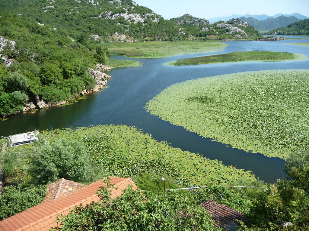 Studios Peric Sveti Stefan Pokój zdjęcie